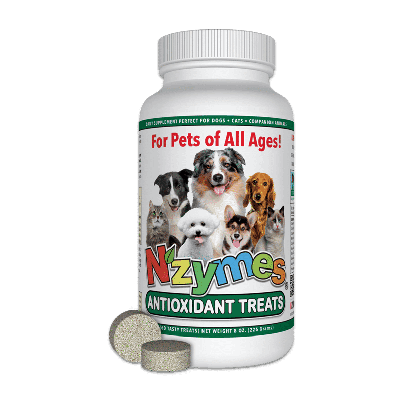 Nzymes - Antioxidant Treats