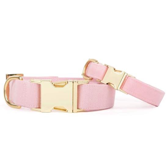 The Foggy Dog - Petal Pink Dog Collar, Size: Small, color: Petal Pink  Dog Collar
