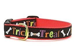 Up Country - Trick or Treat Dog Collar