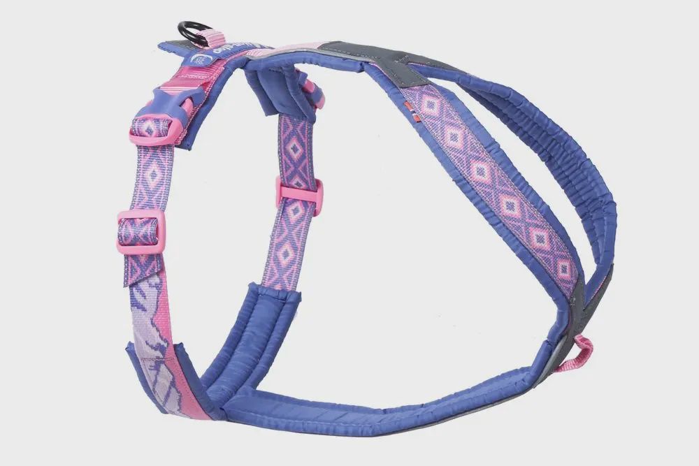 Non-Stop Dogwear - Line 5.0 Dog Harness Rachel Pohl Edition, Colour: Purple/Pink, Size: 1