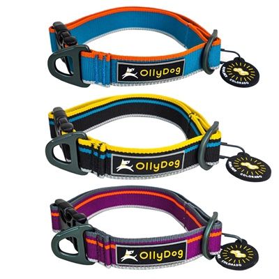 Olly Dog - Urban Trail Reflective Collar