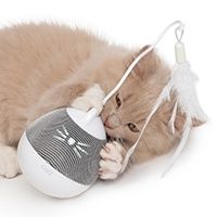 catit - Pixi Spinner, Silver Catit 2.0