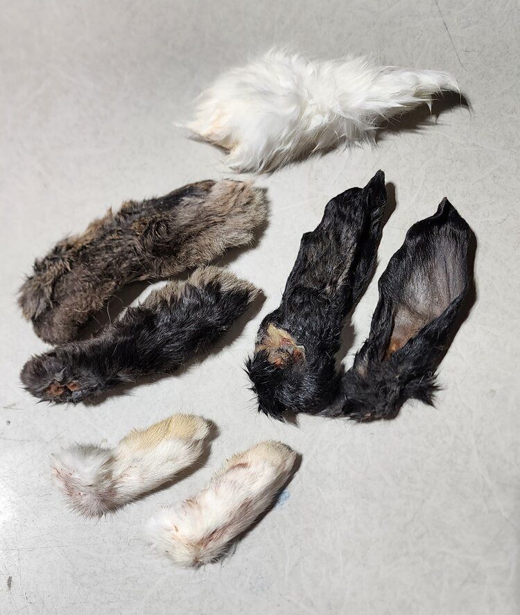 Rocky Mountain Bully - Rabbit Ear Bundle 2 oz.