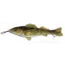 Steel Dog - Freshwater Walleye Dog Toy