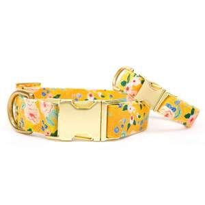 The Foggy Dog - Sunny Days Dog Collar, Size: Small, color: Sunny Days