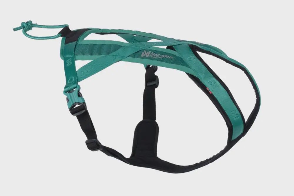 Non-Stop Dogwear - Rush Dog Harness, Colour: Teal, Size: 1