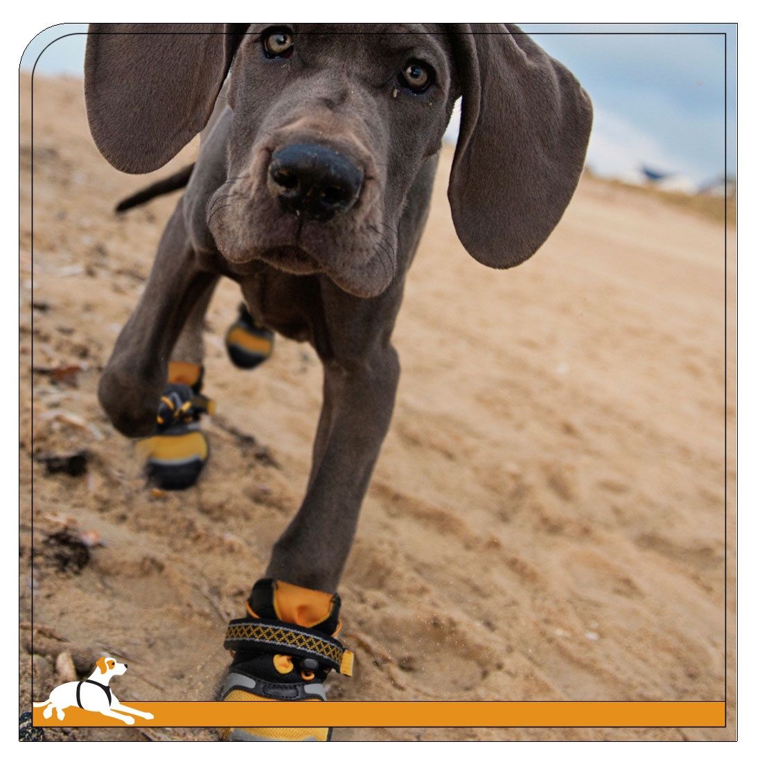 Kurgo - Step n Strobe - Dog Shoe, Size: XS