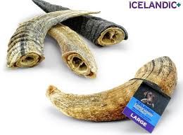 Icelandic - Lamb Horn