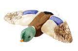 Fluff &amp; Tuff - Wally Mallard