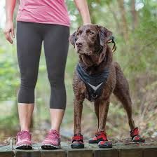 Kurgo - Blaze Cross Dog Shoes