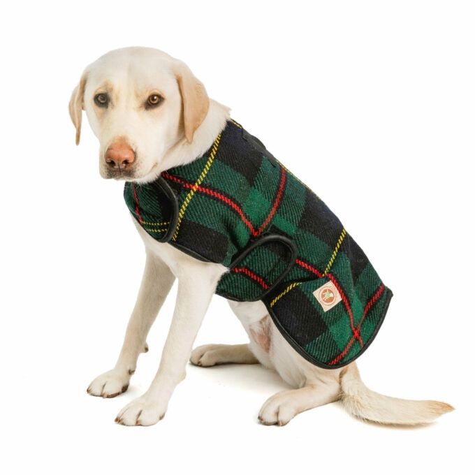 Chilly Dog - Navy Tartan Plaid Blanket Coat