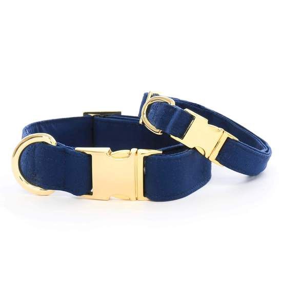 The Foggy Dog - Ocean Blue Dog Collar, Size: Small, color: Ocean Blue Dog Collar