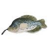 Steel Dog - Crappie Dog Toy