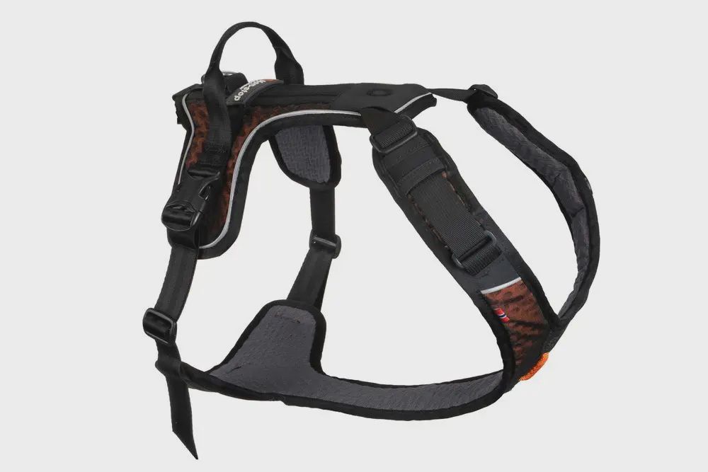Non-Stop Dogwear - Rock Dog Harness Long, Size: XS