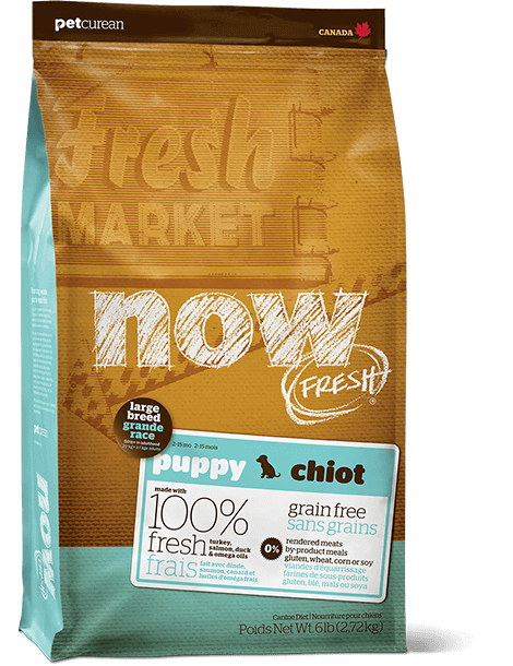 Petcurean - NOW Fresh Large Breed Puppy Formula