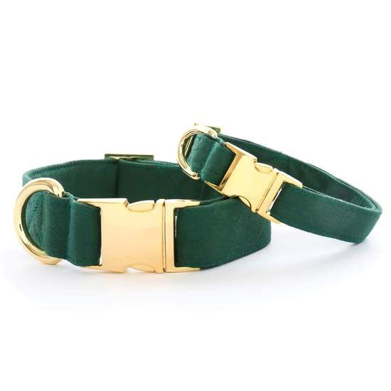 The Foggy Dog - Evergreen Dog Collar, Size: Small, color: Evergreen Dog Collar