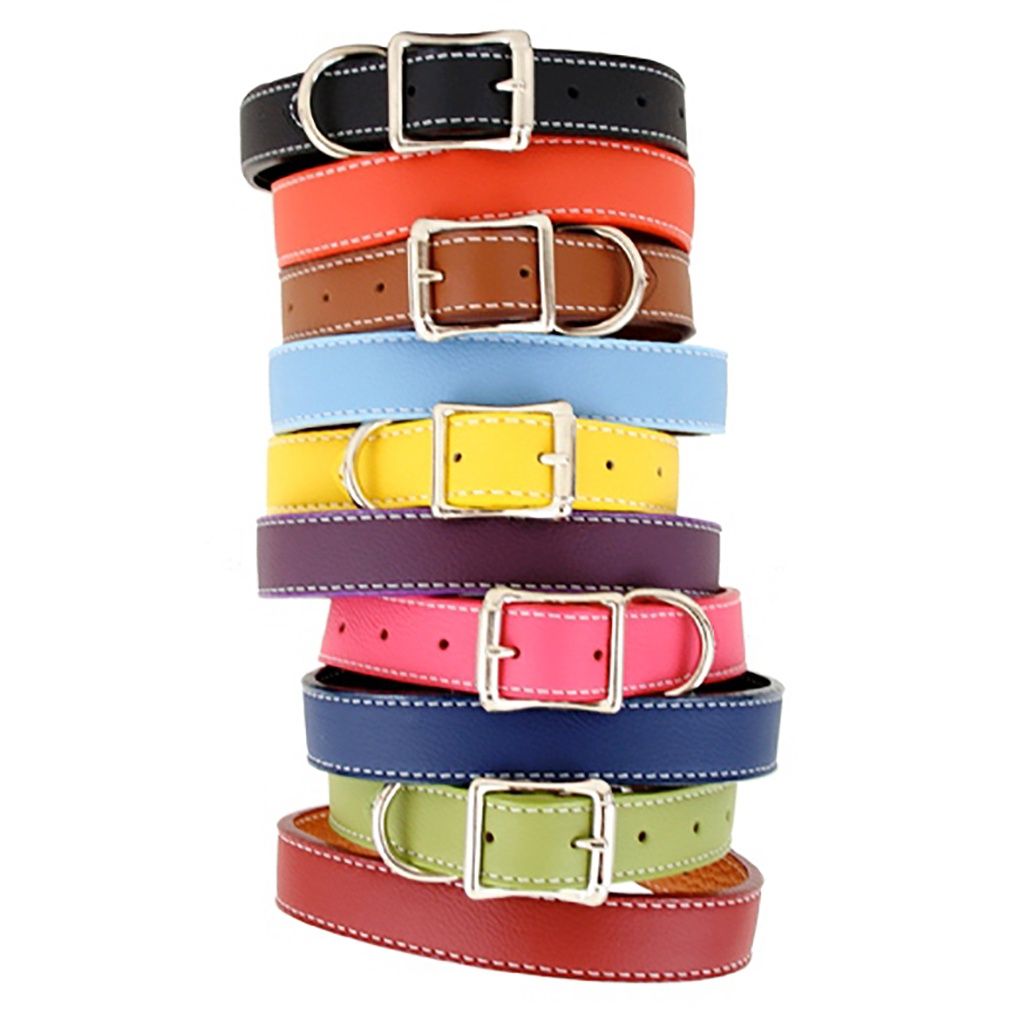 Auburn Leather - Tuscan Leather Dog Collar Orange