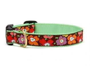 Up Country Mod Narrow Flower Dog Collar