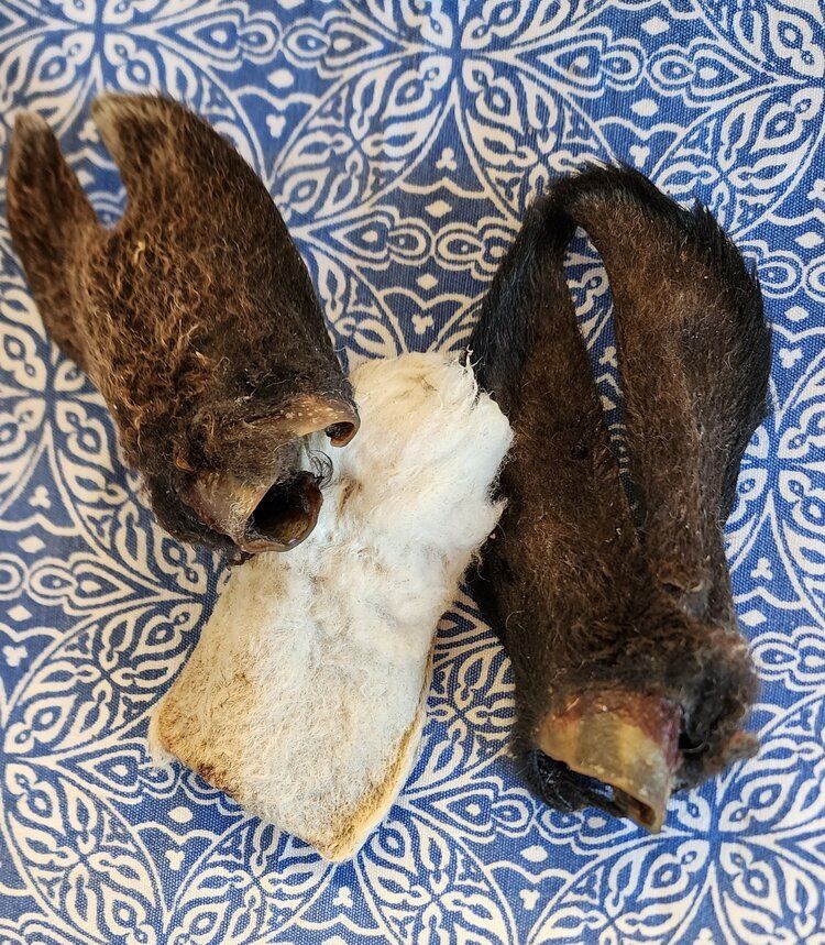 Rocky Mountain Bully - Whole Cow Ears