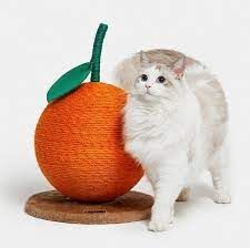 Vetreska - Tangerine Cat Scratching Ball