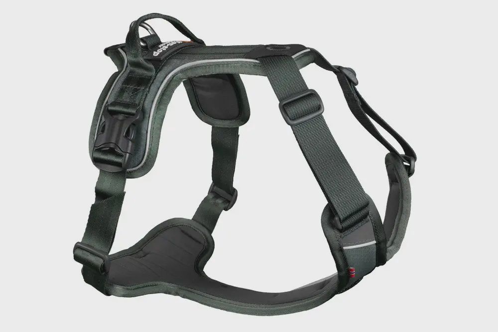 Non-Stop Dogwear - Ramble Dog Harness, Colour: Green, Size: XS