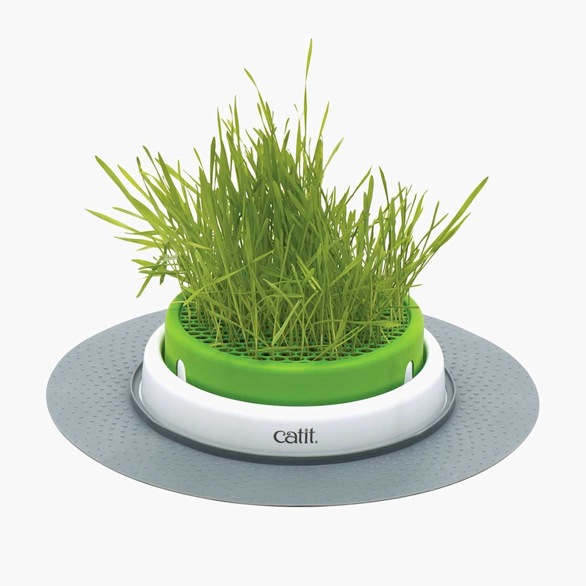 Catit Design - Senses Grass Garden Kit