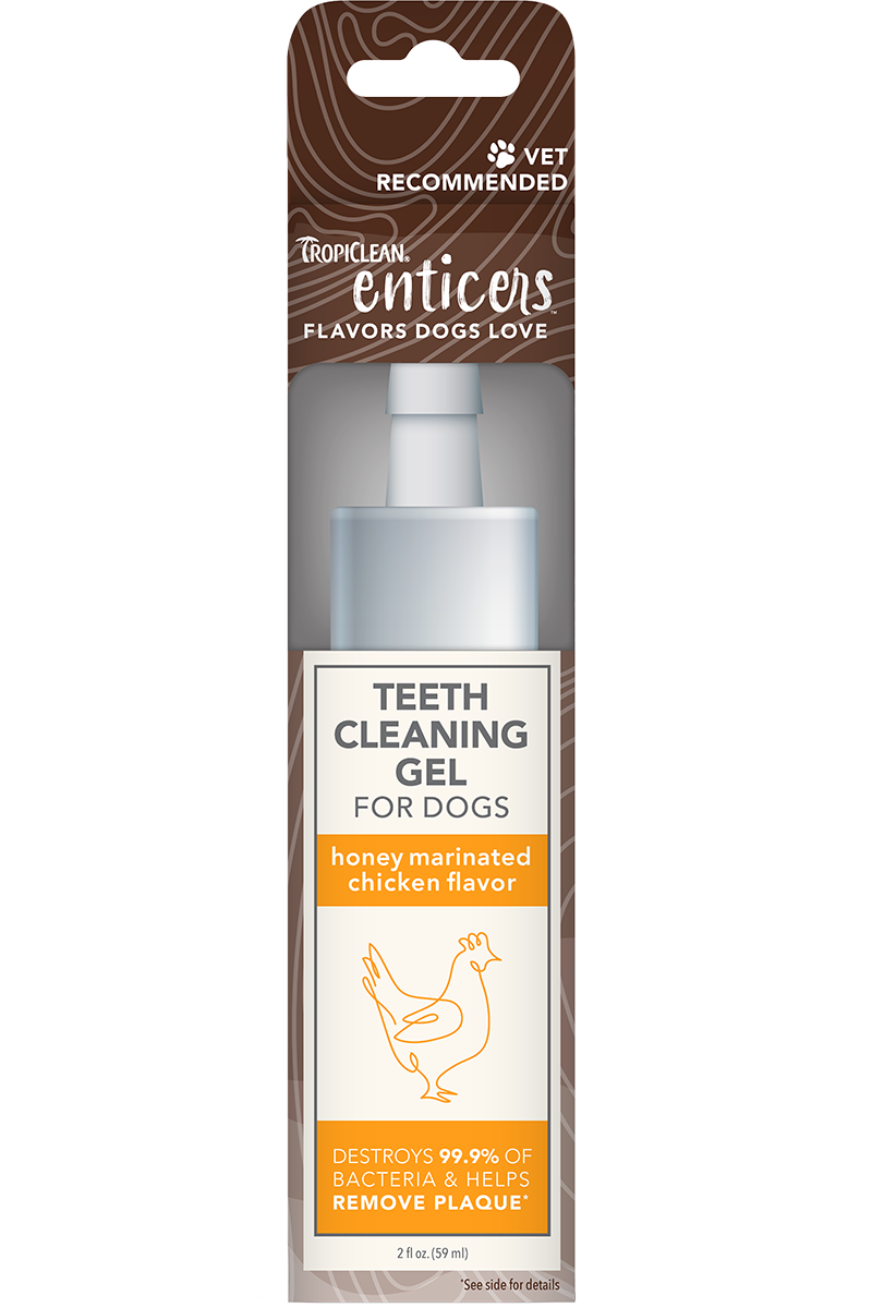 TropiClean - Enticers Teeth Cleaning Gel for Dogs Honey Marinated Chicken Flavor 2 oz.