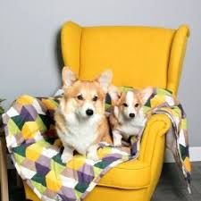 Molly Mutt - Cotton Canvas Blanket