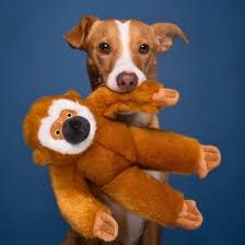 Fluff &amp; Tuff - Marcel Monkey