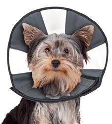 Zen Cone - soft recovery cone
