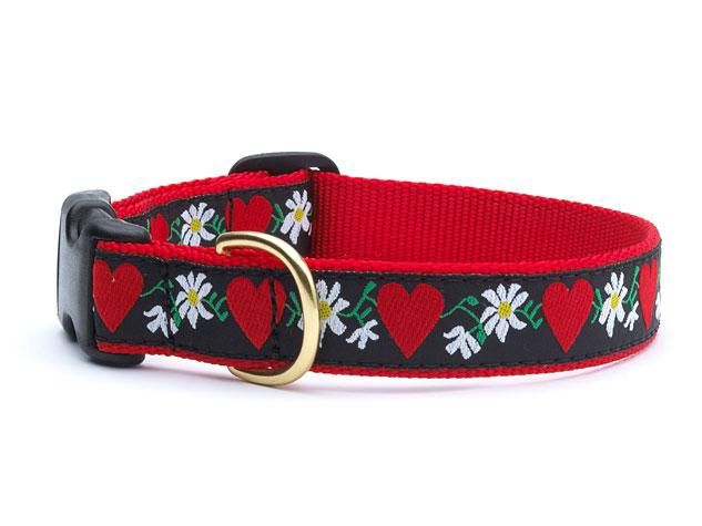 Up Country - Hearts &amp; Flowers Dog Collar, Size: Small