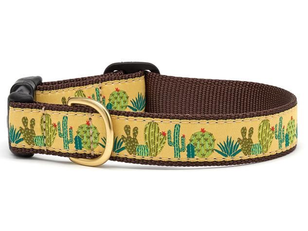 Up Country -Succulents Wide Dog Collar