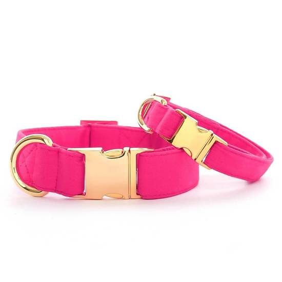 The Foggy Dog - Hot Pink Dog Collar, Size: Small, color: Hot Pink  Dog Collar