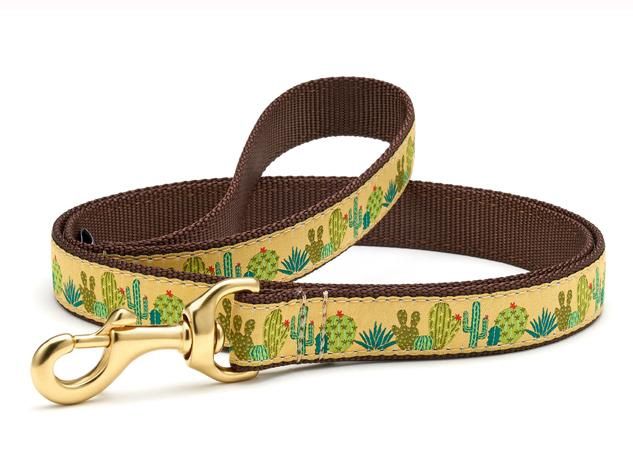 Up Country - Succulent Dog Leash