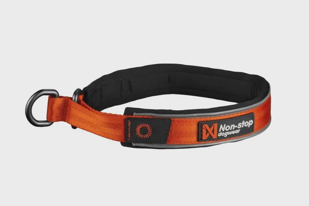 Non-Stop Dogwear - Cruise Dog Collar Orange, Size: 2XS