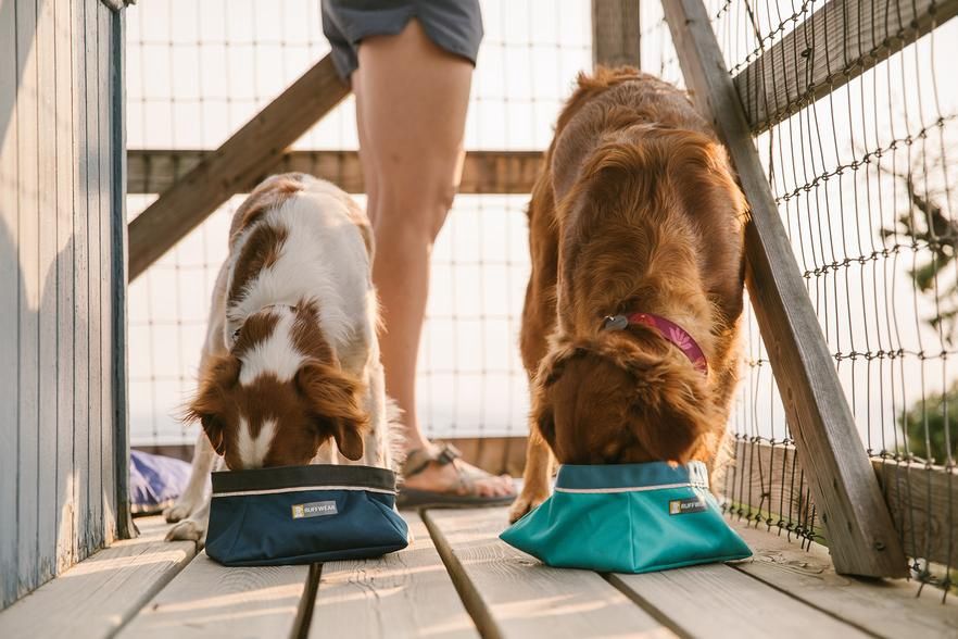 Ruffwear -Quencher Travel Dog Bowl