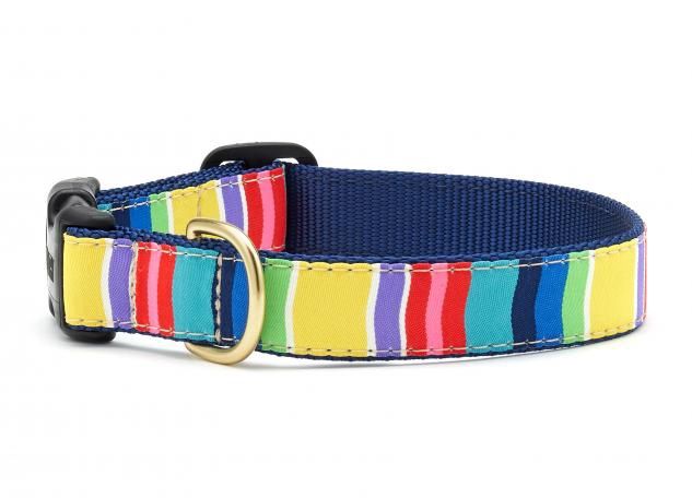 Up Country - Colorful Strip Dog Collar