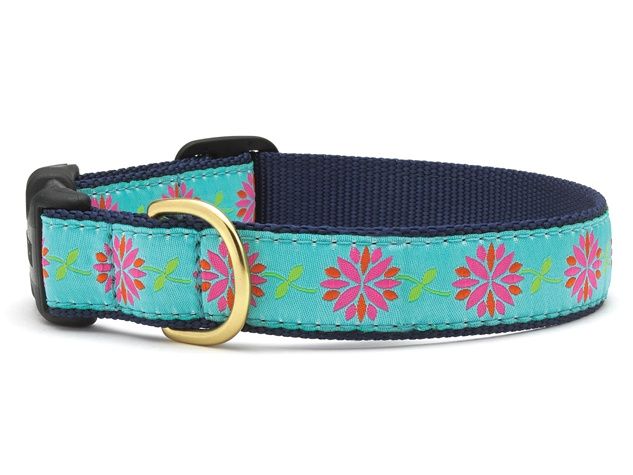 Up Country - Dahlia Darling Dog Collar, Size: SM