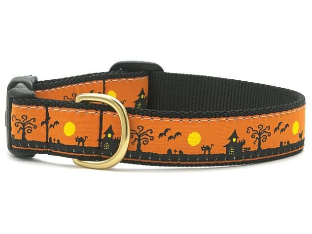 Up Country - Spooky Town Dog Collar