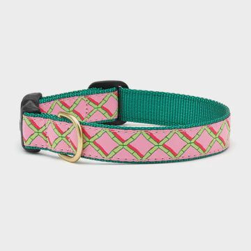 UpCountry - Coral Gables Collar