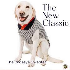 Chilly Dog - Birdseye Wool Dog Sweater