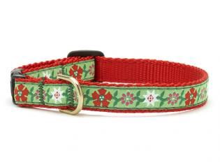 Up Country - Poinsetta Dog Collar