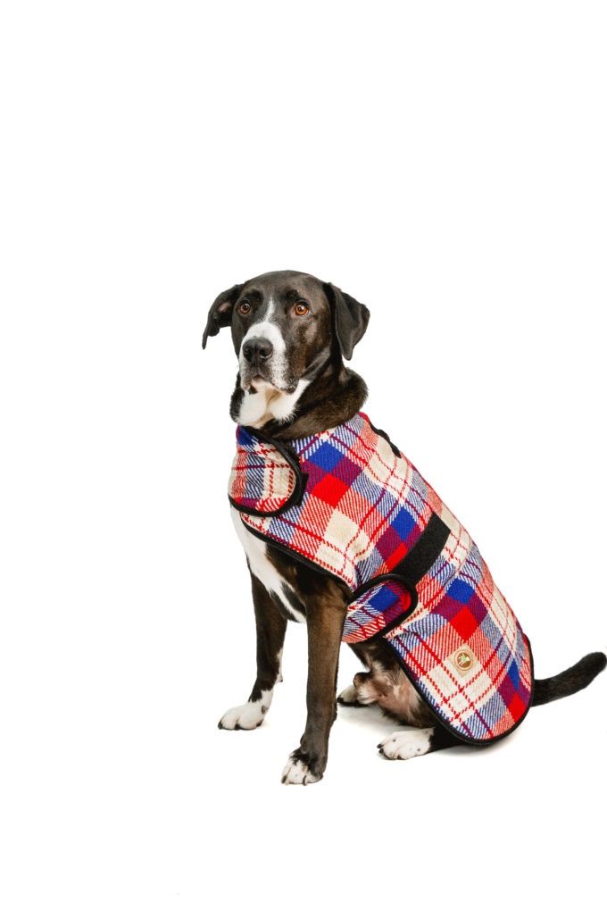 Chilly Dog - Red field blanket coat, Size: Small