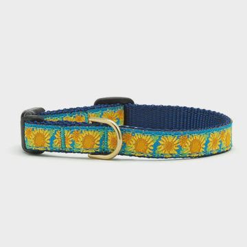 UpCountry -Bright Sunflower Collar