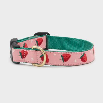 UpCountry - Strawberry Fields Collar