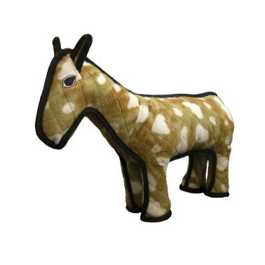 Tuffy - Barn Horse