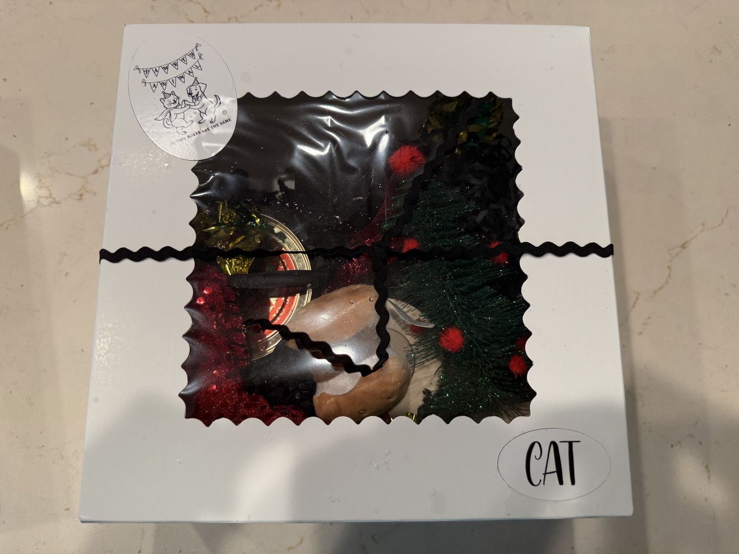 Pawrty Animal -Gift Boxes, Box: Cat Box