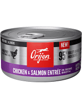 ORIJEN - Chicken &amp; Salmon Entree Wet Kitten Food 3.0 oz/Single Can
