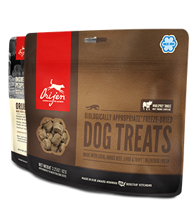 Orijen - Angus Beef Dog Treats, Size: 3.25 oz