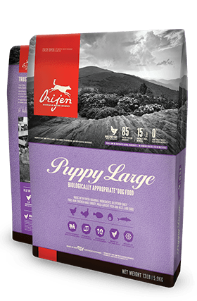 Orijen - Large Breed Puppy Dog Food, Size: 13#